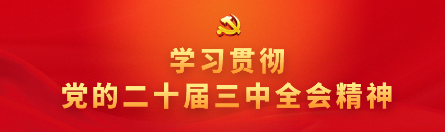 学习宣传贯彻党的二十大精神