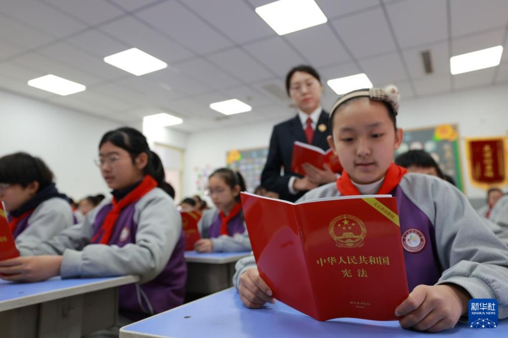 1764728504529298.jpg 10.jpg